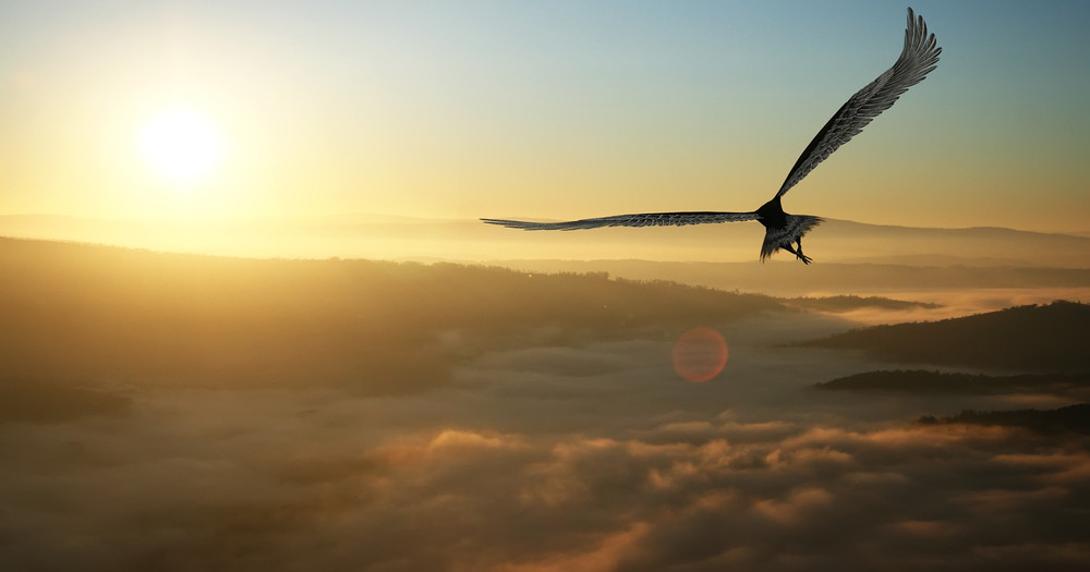 Das Krafttier, der treue Begleiter: Foto: © Juanjo Tugores / shutterstock / #214291021