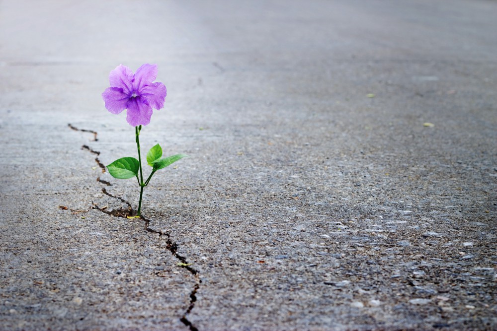 Zukunftsprognose: Foto: © PopTika / shutterstock / #776381272 Zukunftsprognose: Foto: © PopTika / shutterstock / #776381272